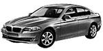 BMW F10 C1495 Fault Code
